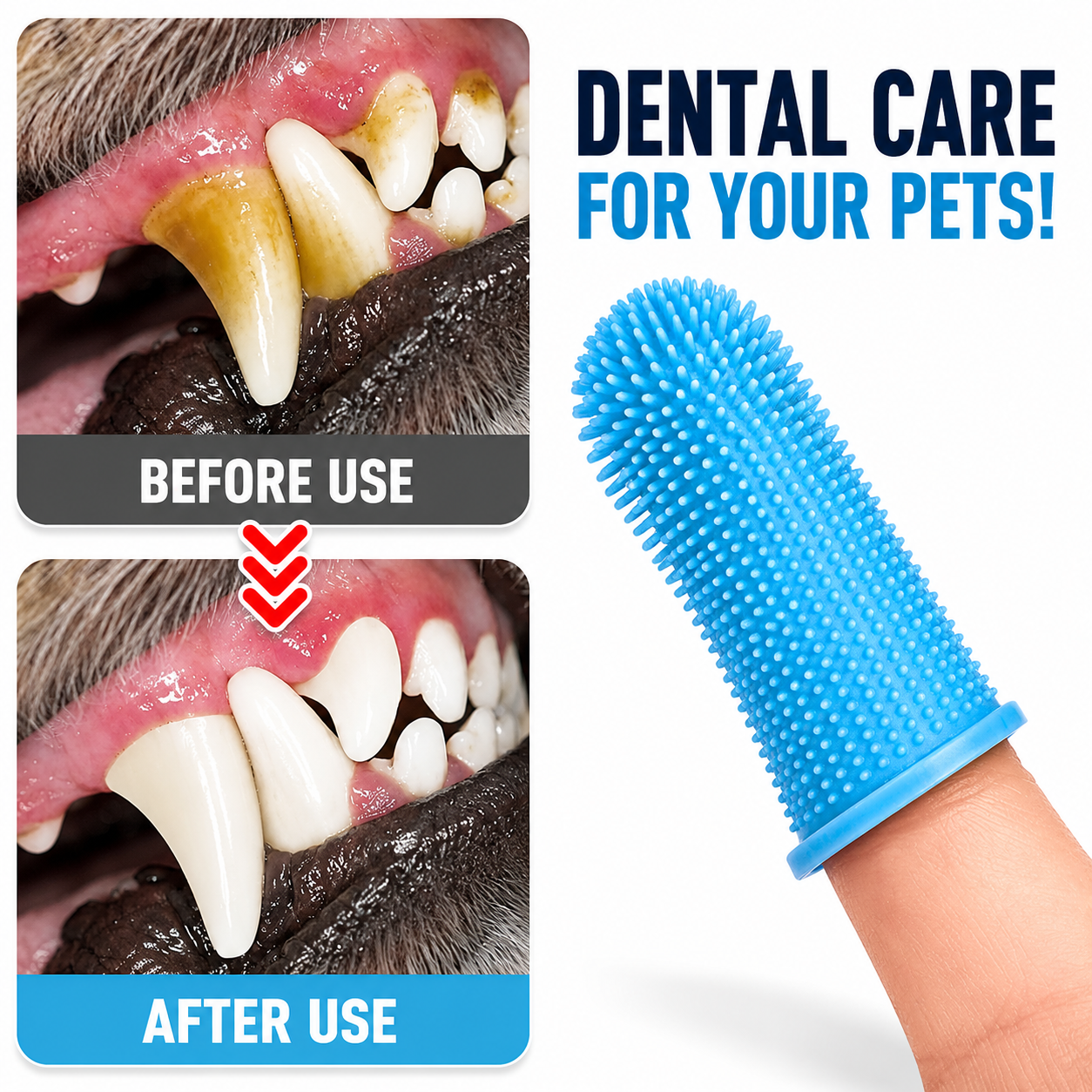 Silicone Pet Finger Toothbrushes | Soft Dog & Cat Dental Care Brush Set 3 Silicone Pet Finger Toothbrushes | Soft Dog & Cat Dental Care Brush Set - Image 3