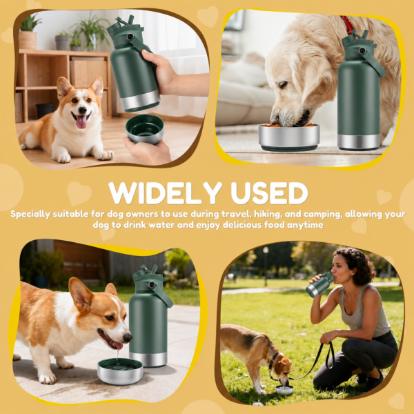 3-in-1 Insulated Pet Travel Water Bottle