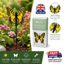 Home & Garden